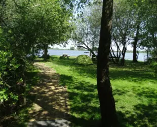 DSC02782