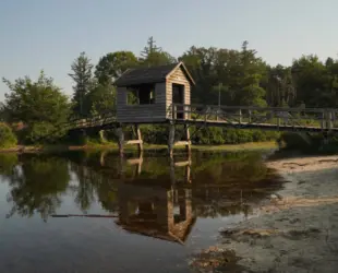 332860267 1279505095967865 2968201621507137074 n