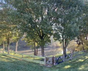 315053324 1919725445048611 2508137533131533011 n