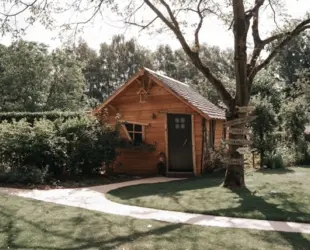 Image1 1