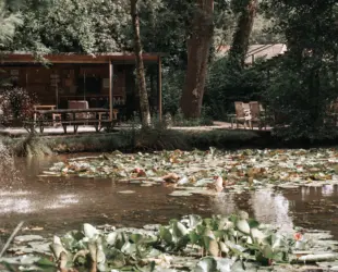 Vijver terras caravan