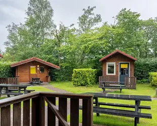 Foto Koolmees Buitenkant