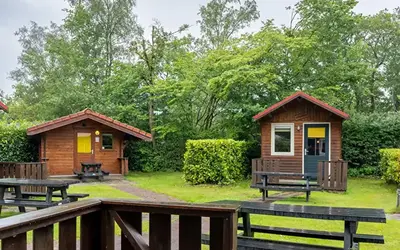 Foto Koolmees Buitenkant