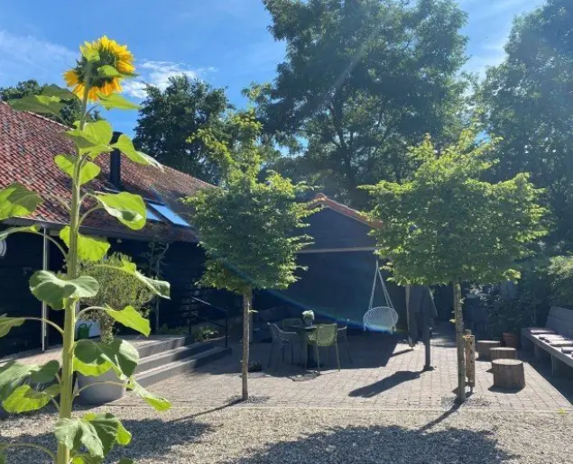 Terras zonnebloem49