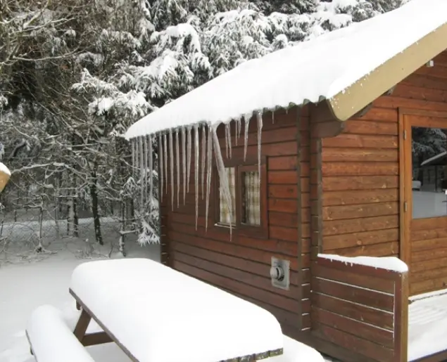 Winter 2009 093