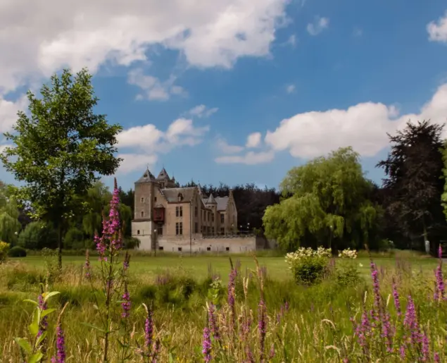 Kasteel tillegembos