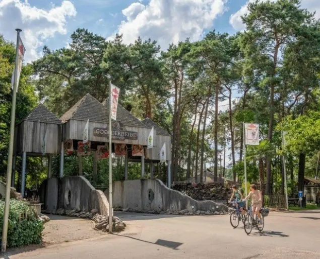 Goolderheide prosuco hr 208