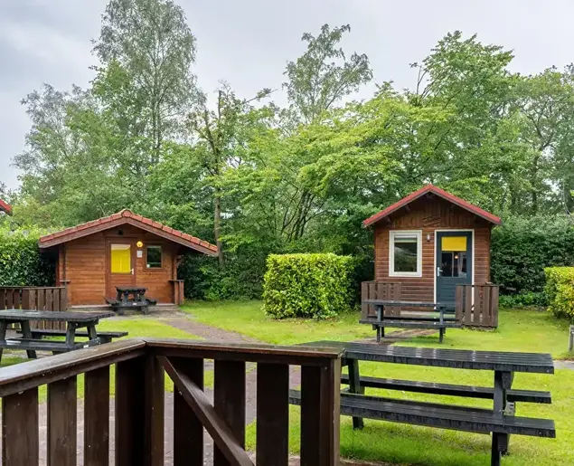 Foto Koolmees Buitenkant